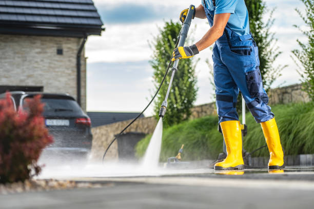 Best Power Washing Near Me  in Rush City, MN