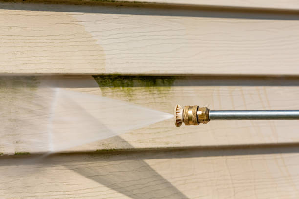 Best Best Pressure Washing Companies  in Rush City, MN